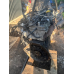 Двигун у зборі Jeep Grand Cherokee  II 2.7 CRD WJ