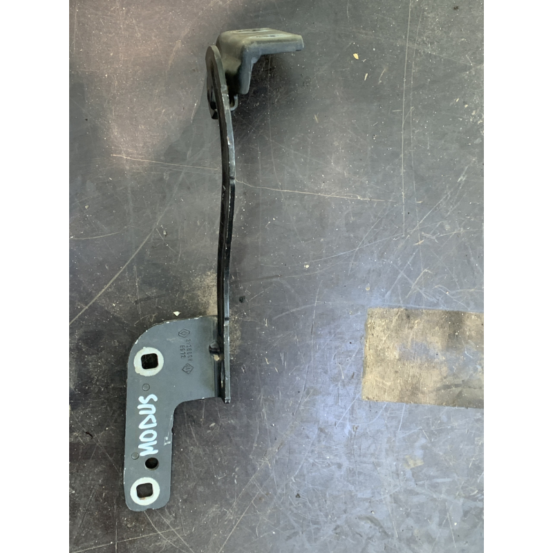 Петля капота права Renault Modus 213689H